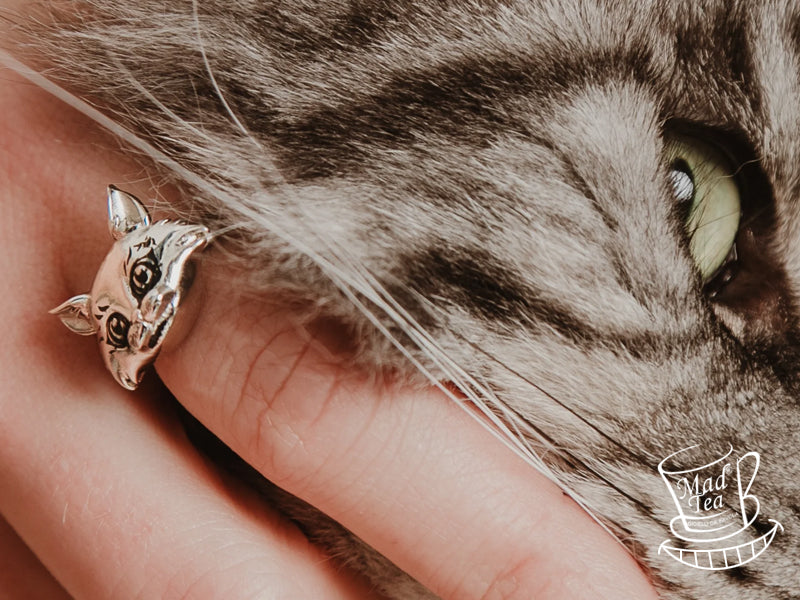 Svanisci e ricompaiono come lo Stregatto! Questo anello magico e regolabile in acciaio è così comodo che lo dimenticherai addosso... finché qualcuno non ti chiederà: "Ma dov'è finito lo Stregatto?!"