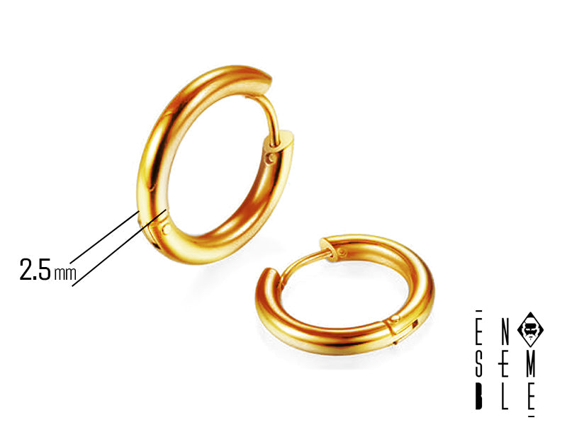 Orecchini in acciaio dorato da 2.5 mm di spessore