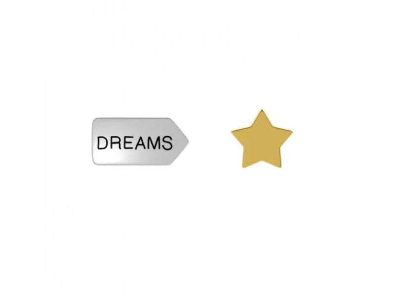 Orecchini a lobo con stellina dorata e freccia con incisa la parola "DREAMS".