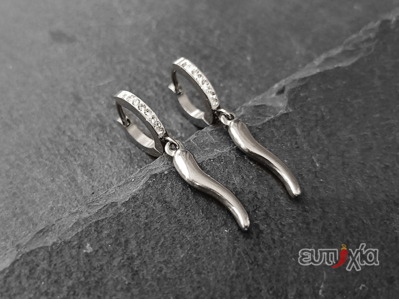 Orecchino cerchio con zirconi e cornetto pendente realizzato in acciaio 316L argentato