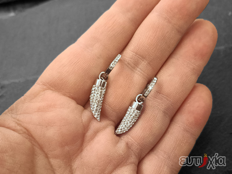 Eutuxia coppia orecchini con cornetto e zirconi bianchi in acciaio inossidabile