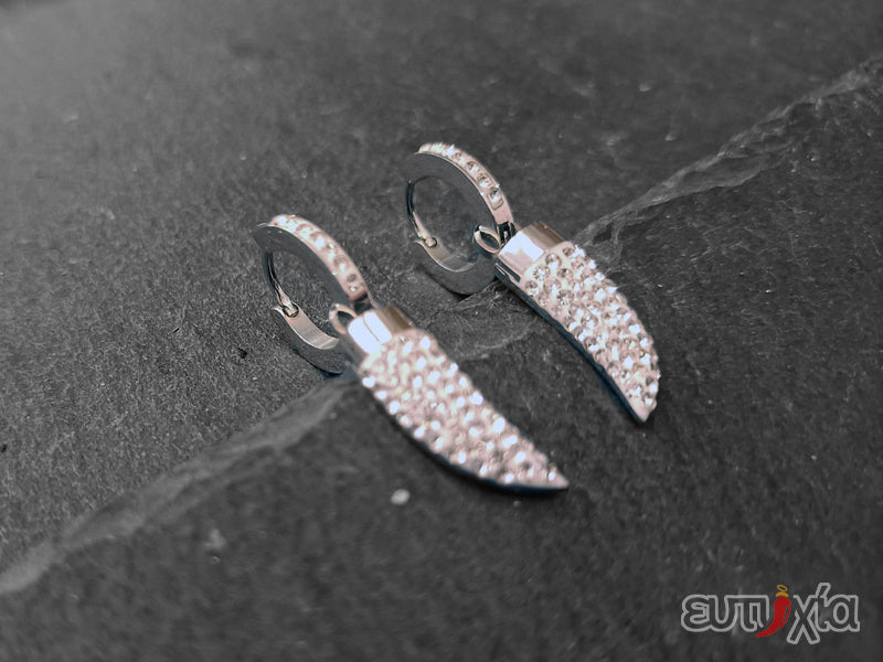 Orecchini zirconi bianchi e cornetto in acciaio 